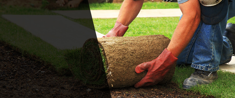 Dodgeville Landscapers